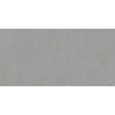 DD593400R Про Фьюче серый обрезной 60*119,5 керамограмический гранит