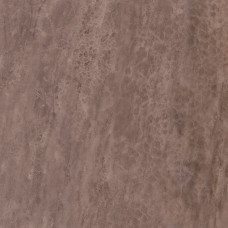 SG455800N (1.26м 5пл) Лакшми коричневый 50.2*50.2 керамический гранит
