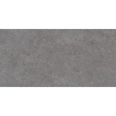 DL501000R Фондамента серый темный обрезной 60x119,5 керамический гранит