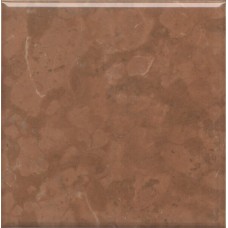 5289 Стемма коричневый 20*20 керамическая плитка